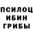 Галлюциногенные грибы Psilocybine cubensis vfam_17