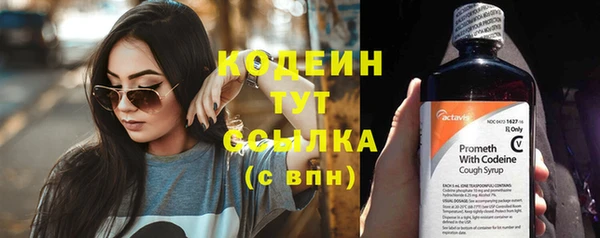 хмурый Карпинск