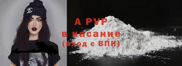 хмурый Карпинск
