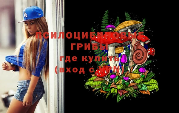 ГАЛЛЮЦИНОГЕННЫЕ ГРИБЫ Кинешма