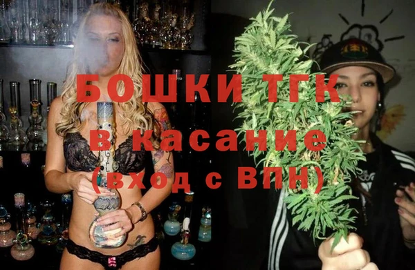 хмурый Карпинск